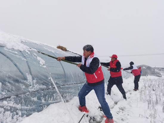 圖為峽江縣煙草專賣局黨員先鋒隊幫助育苗戶清除苗棚積雪