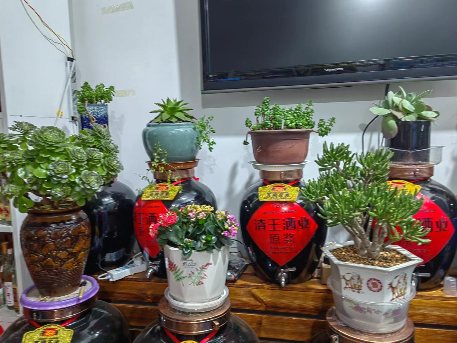 65f1cd909af110a4a75b0078f21dce3.jpg