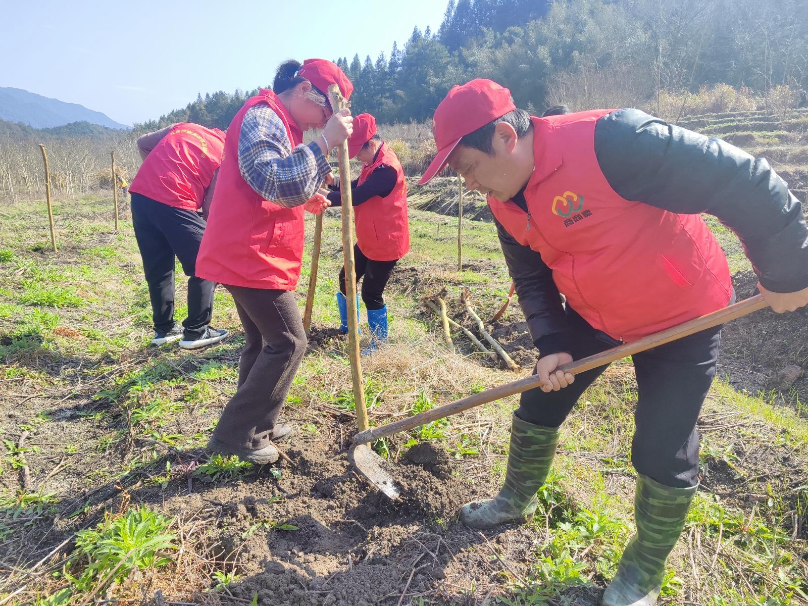 圖為志愿者開展植樹幫扶活動.jpg