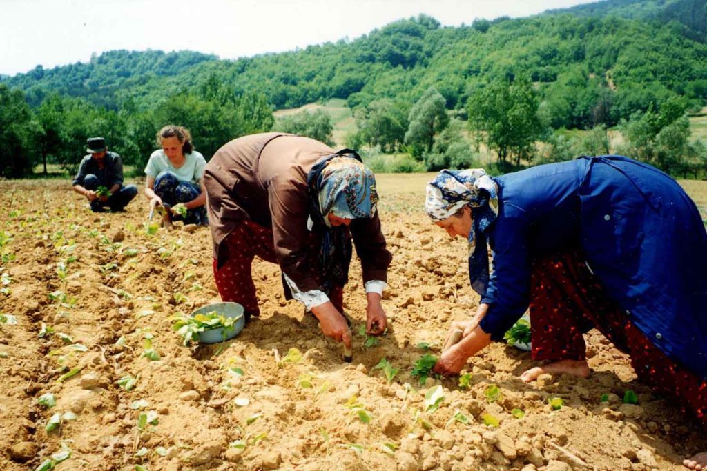 bulgaria-1024x683.jpg