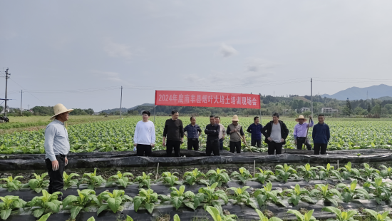 圖為南豐縣局在煙田開展大培土培訓工作