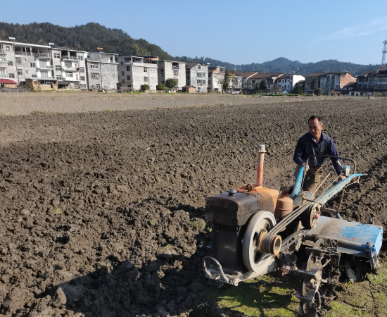 圖為煙農(nóng)在起壟過程中利用開溝器進行開溝