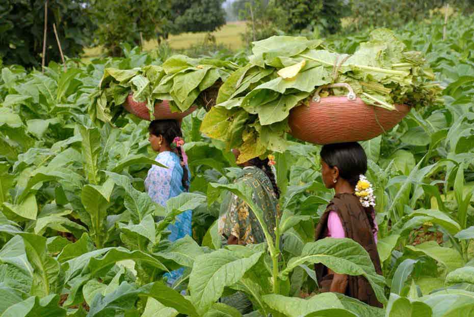 bangladesh-1.jpg