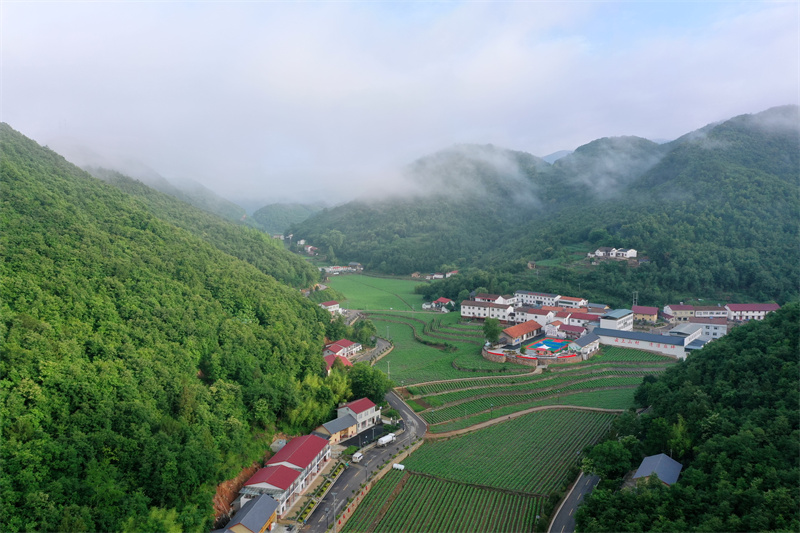 湖北省保康縣麻坪村