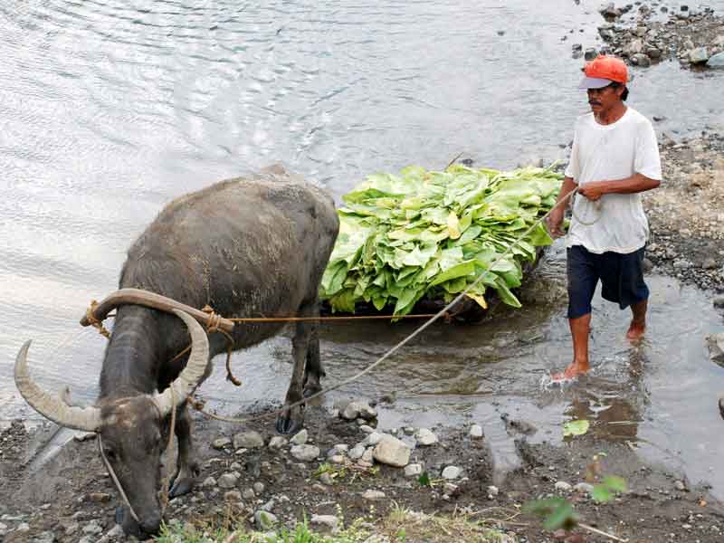 philippines.jpg