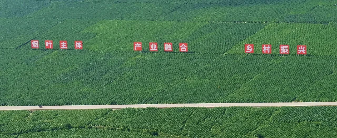 微信圖片_20241017103903.jpg