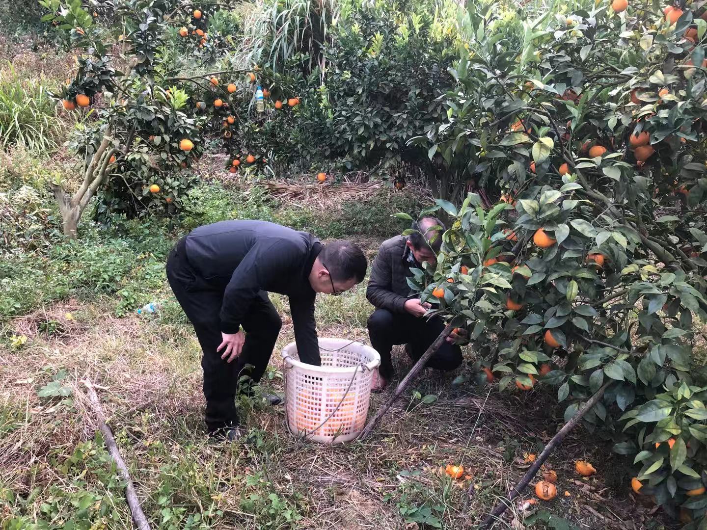 微信圖片_201912121906192.jpg