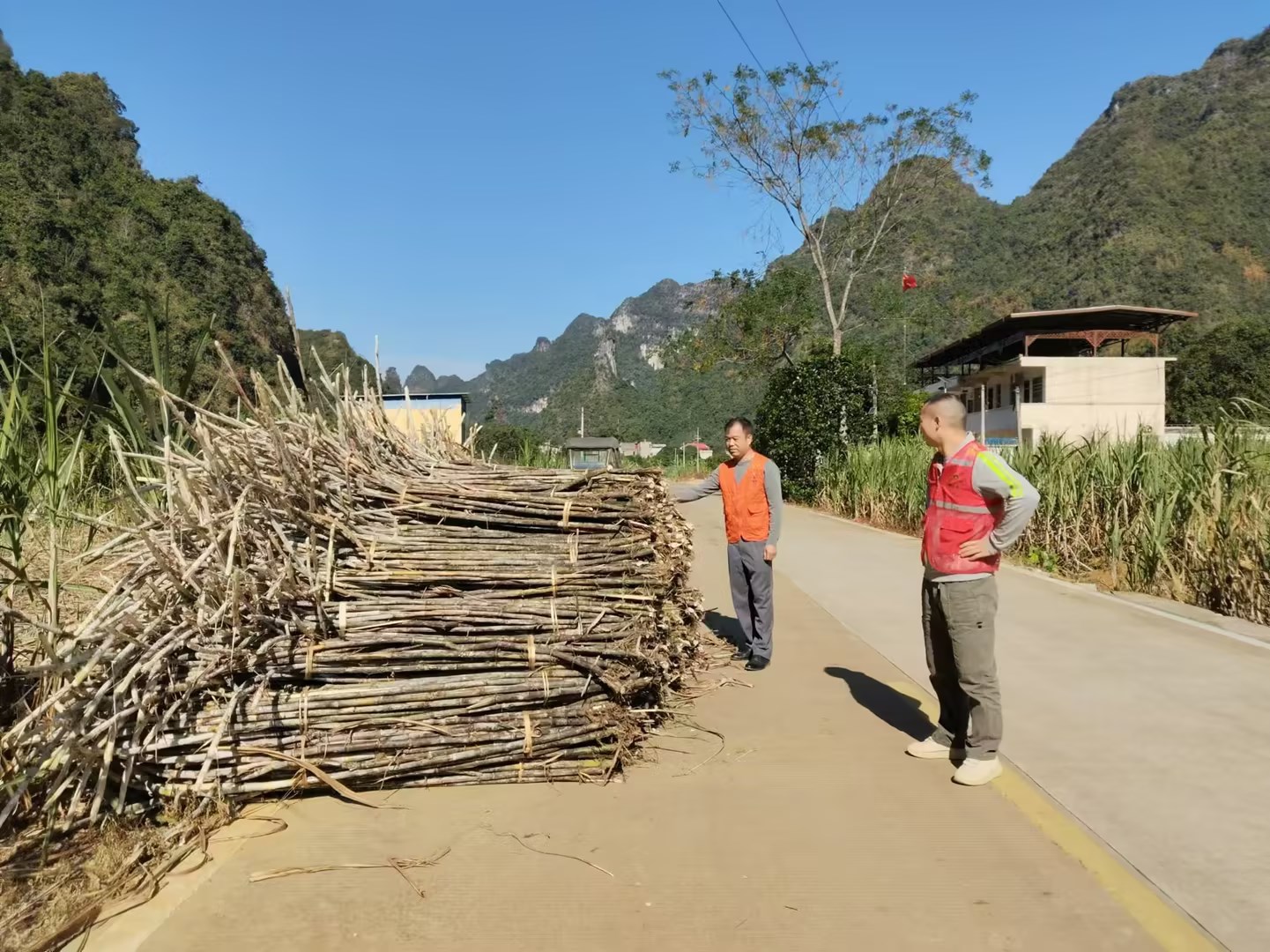 駐村隊員查看榨季交通道路情況.jpg