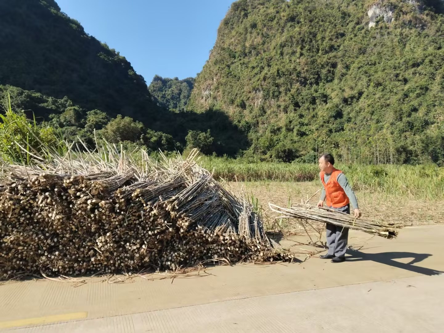 駐村隊員將掉在路中間的甘蔗堆疊好.jpg