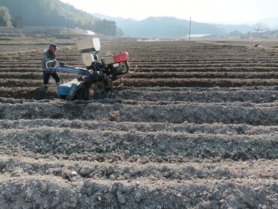 圖為煙農(nóng)使用機(jī)械完成施肥包肥工序