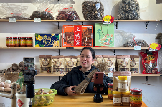 樹梅商店直播現場 石桓銘攝
