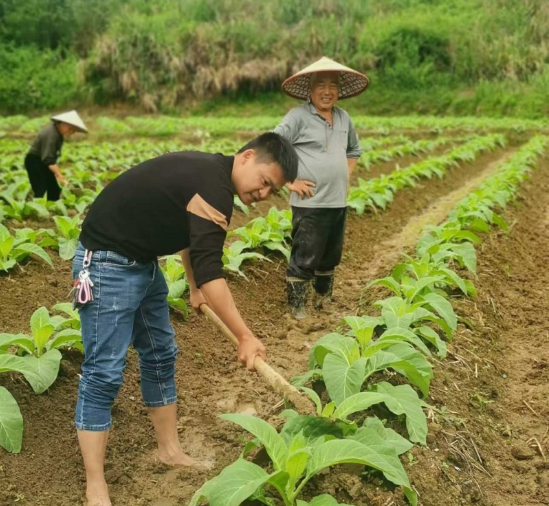 微信圖片_20250418121217.png