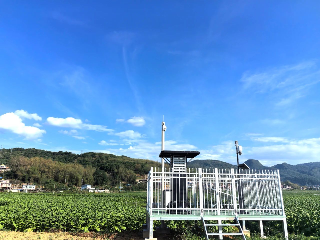 微信圖片_20250625161327.jpg