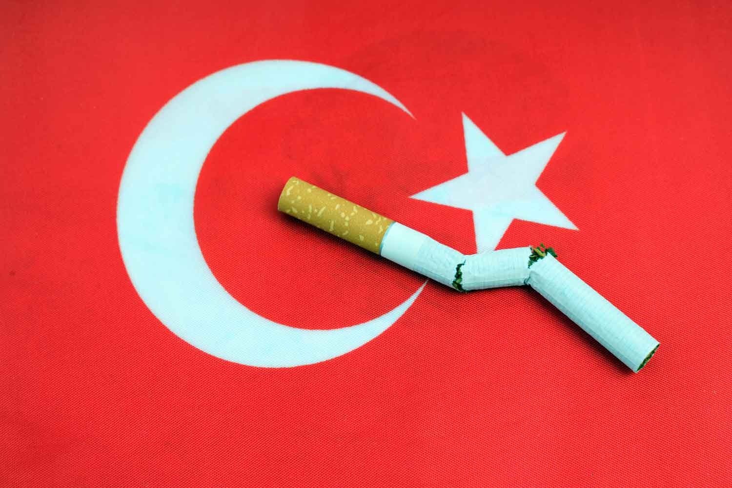 turkey.jpg